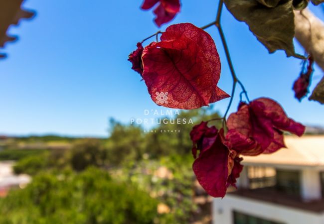 à Albufeira - Falésia Beach Apartment by D'Alma Portuguesa