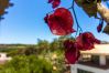Appartement à Albufeira - Falésia Beach Apartment by D'Alma Portuguesa