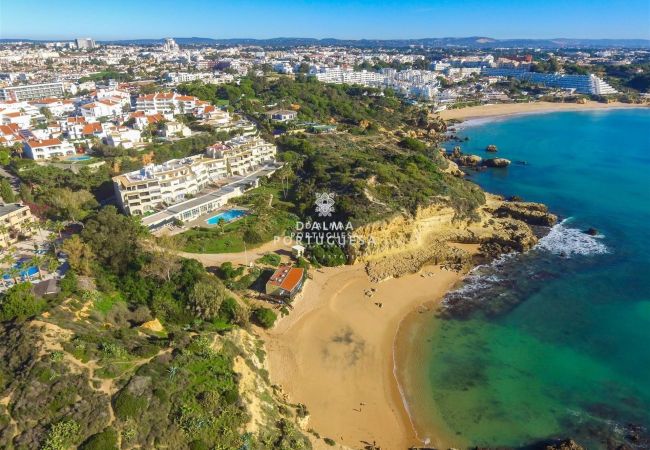 Appartement à Albufeira - Aveiros Beach Apartment- Ocean View By D´alma Port Appartement à Albufeira - Aveiros Beach Apartment- Ocean View By D´alma Port