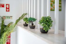 Appartement à Albufeira - Downtown Apartment - By D`alma  Portuguesa